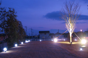 【夜のモール内公園】その2