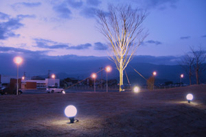 ライトアップされた公園内